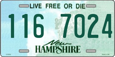 NH license plate 1167024