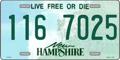 NH license plate 1167025