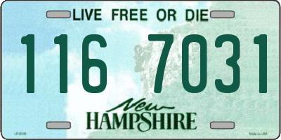 NH license plate 1167031