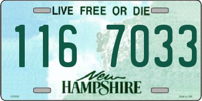 NH license plate 1167033