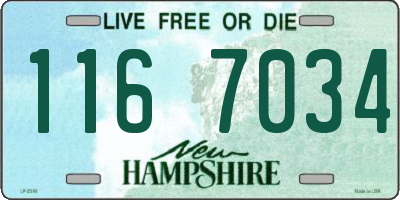 NH license plate 1167034