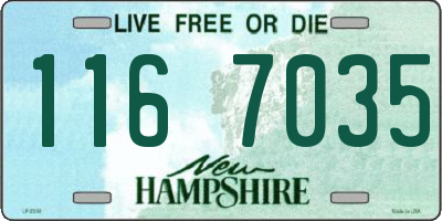 NH license plate 1167035