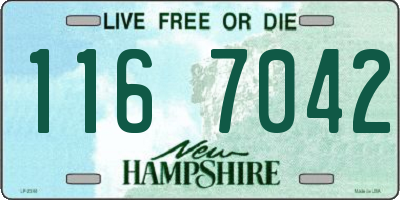 NH license plate 1167042