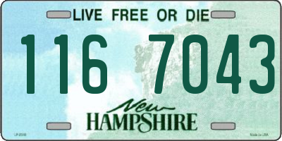 NH license plate 1167043