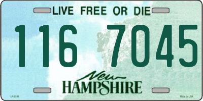 NH license plate 1167045
