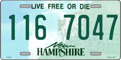 NH license plate 1167047