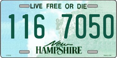 NH license plate 1167050