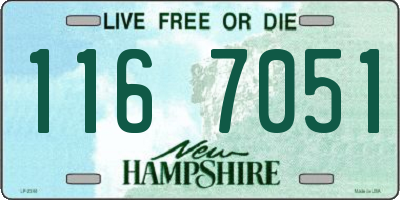 NH license plate 1167051