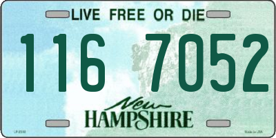 NH license plate 1167052