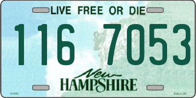 NH license plate 1167053