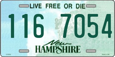 NH license plate 1167054