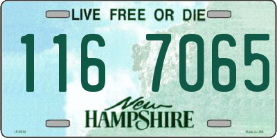 NH license plate 1167065