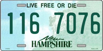 NH license plate 1167076