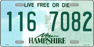 NH license plate 1167082