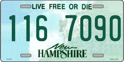 NH license plate 1167090
