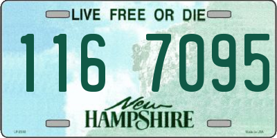 NH license plate 1167095