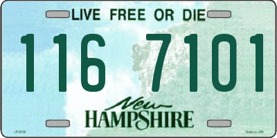 NH license plate 1167101