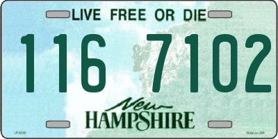 NH license plate 1167102