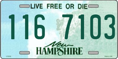NH license plate 1167103