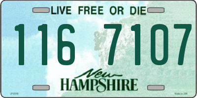 NH license plate 1167107