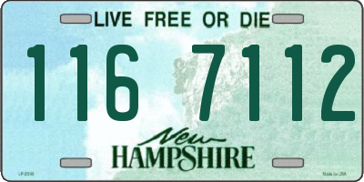 NH license plate 1167112