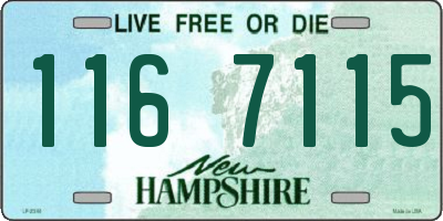 NH license plate 1167115