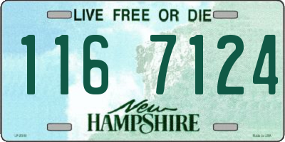 NH license plate 1167124