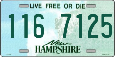NH license plate 1167125