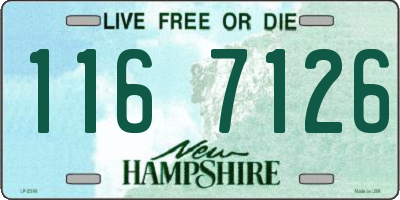 NH license plate 1167126