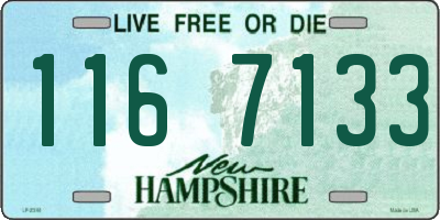 NH license plate 1167133