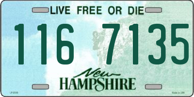 NH license plate 1167135