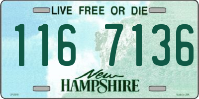 NH license plate 1167136
