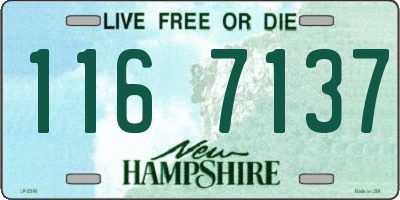 NH license plate 1167137