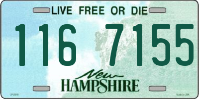 NH license plate 1167155