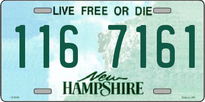 NH license plate 1167161