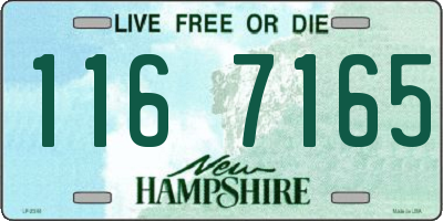 NH license plate 1167165