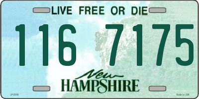 NH license plate 1167175