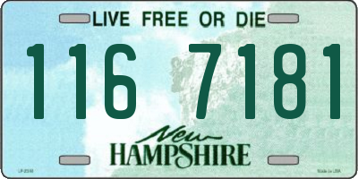 NH license plate 1167181