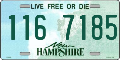 NH license plate 1167185
