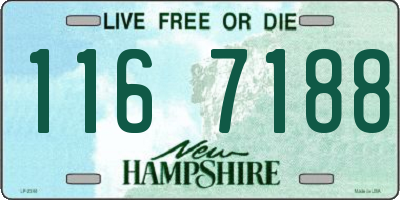 NH license plate 1167188