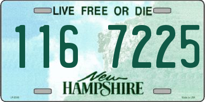 NH license plate 1167225