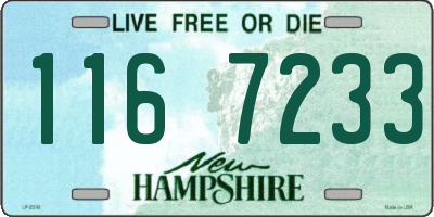 NH license plate 1167233