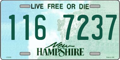 NH license plate 1167237
