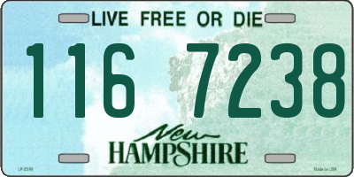 NH license plate 1167238