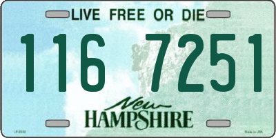 NH license plate 1167251
