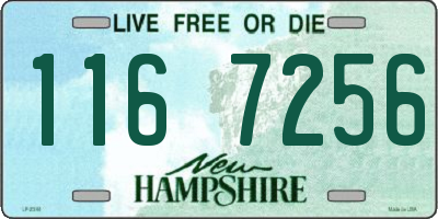NH license plate 1167256