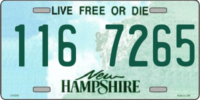 NH license plate 1167265