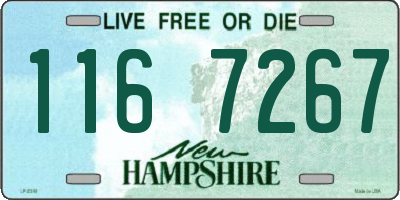 NH license plate 1167267