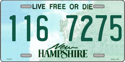 NH license plate 1167275