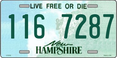 NH license plate 1167287